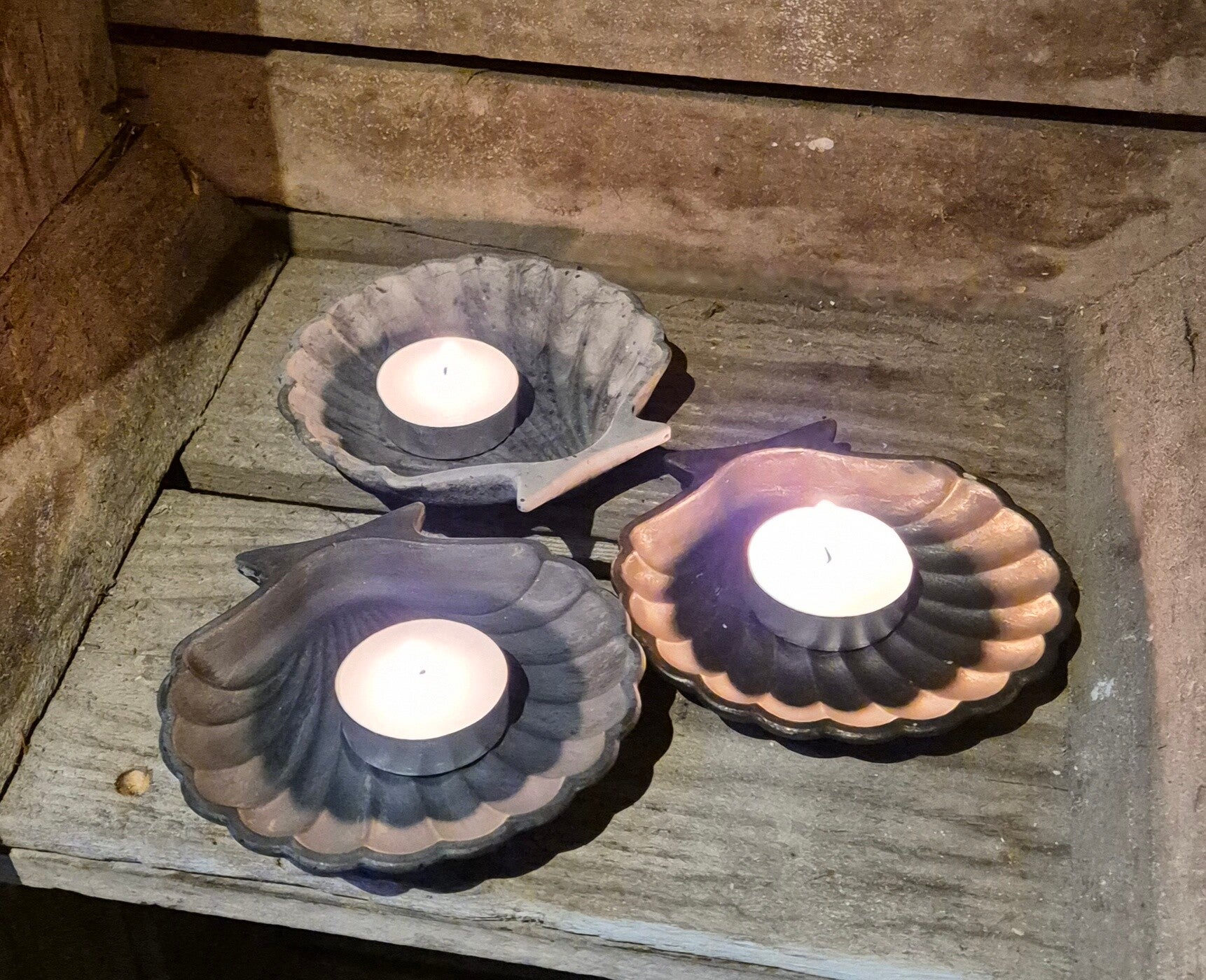 Schelp schaaltje