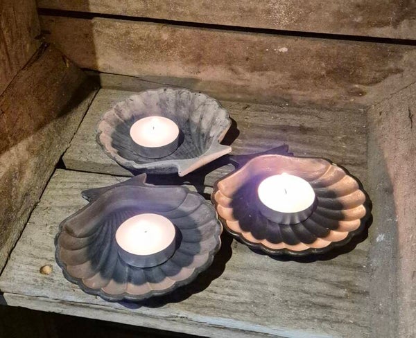 Schelp schaaltje