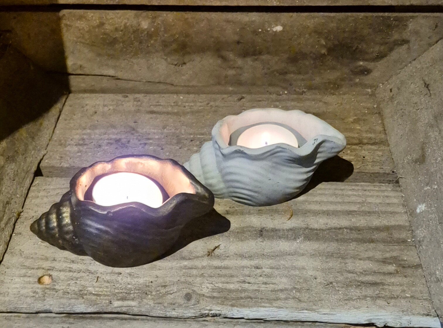 Schelp klein