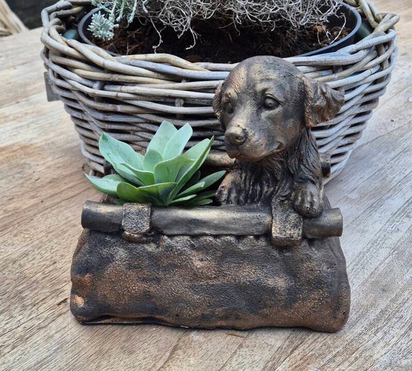 Bloembakken hond