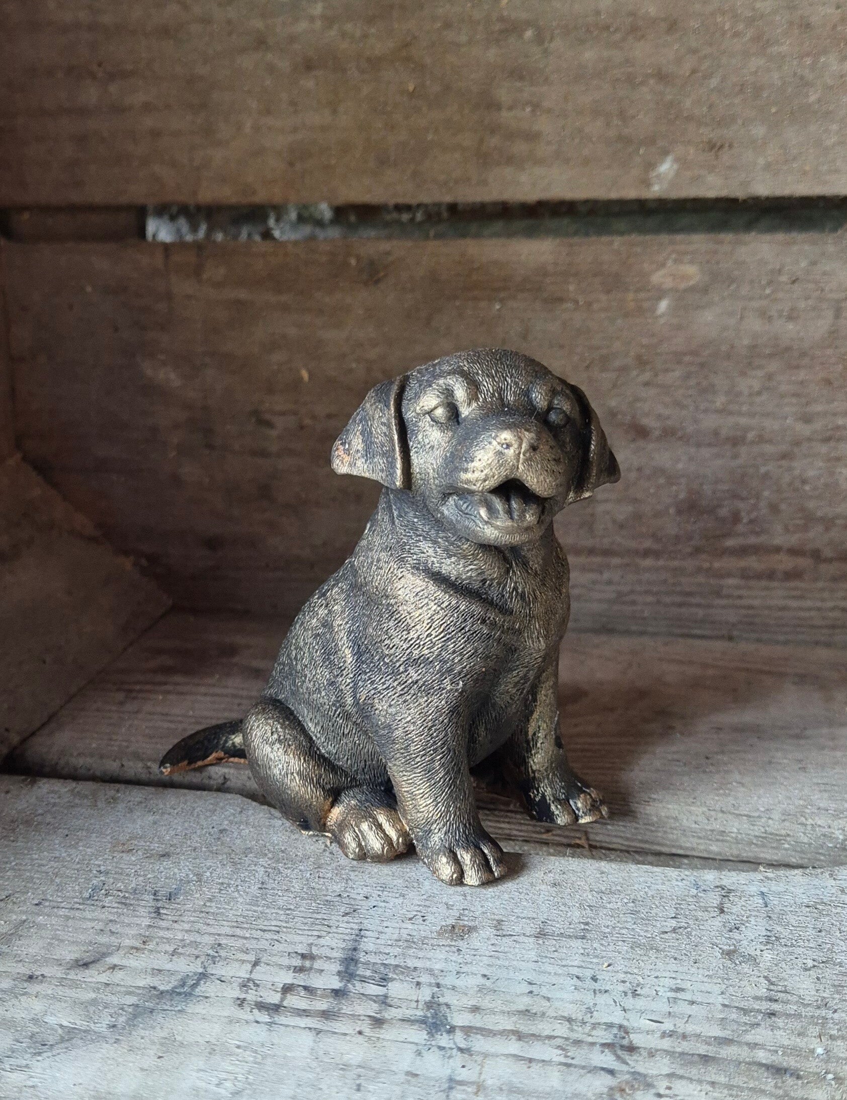 Hond 01