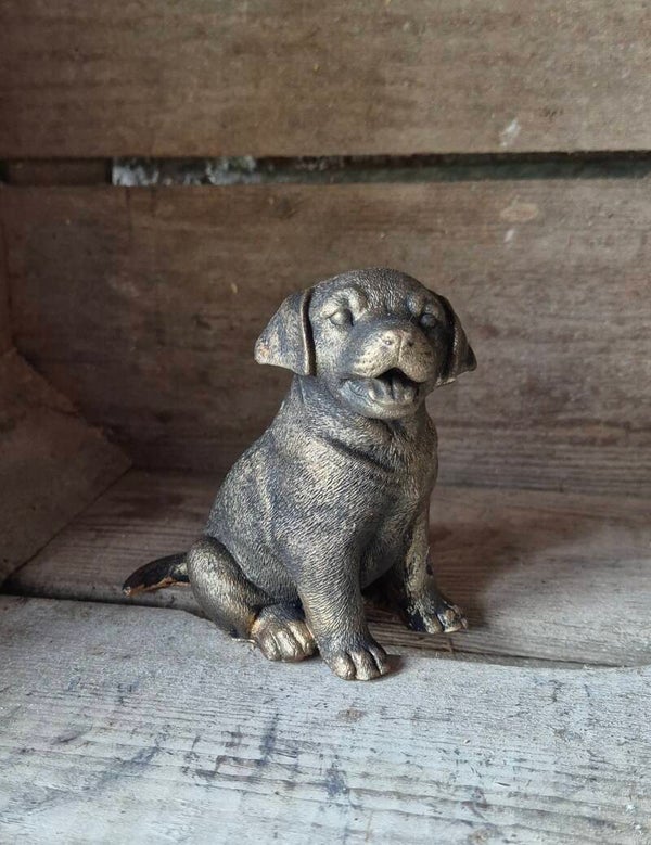 Hond 01