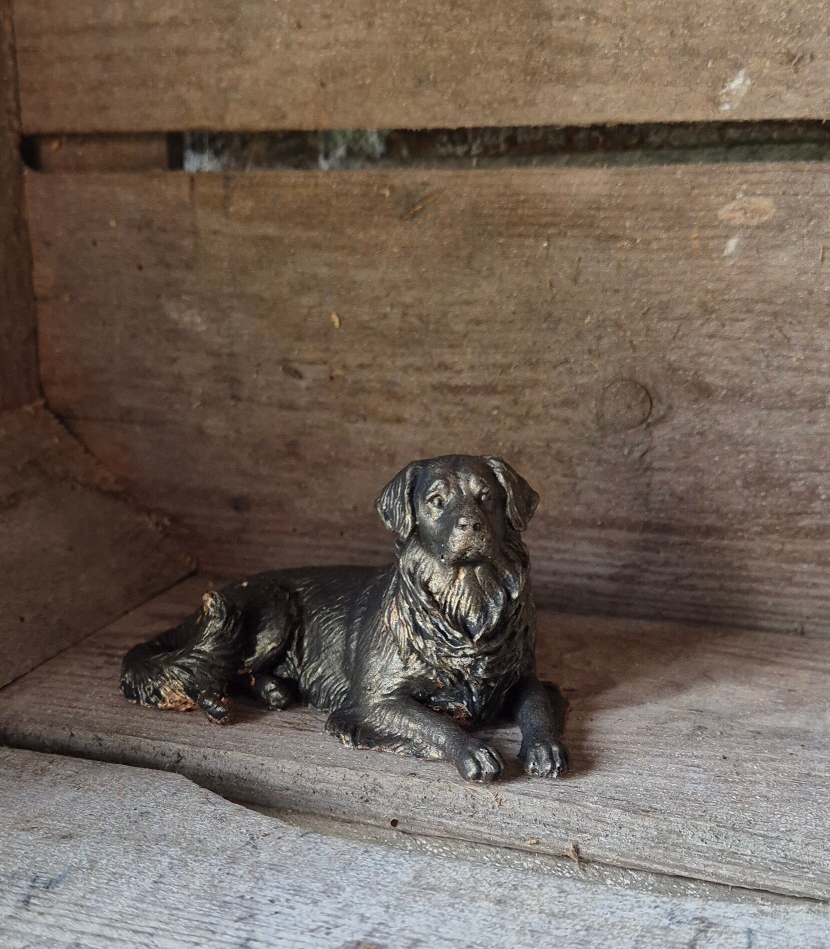 Hond 02