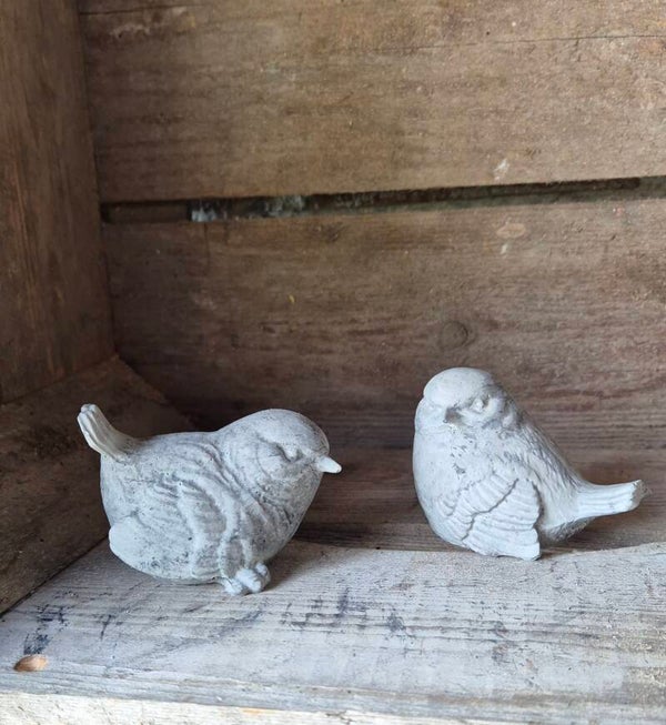 Vogeltjes