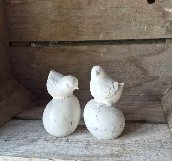 Vogeltjes op ei
