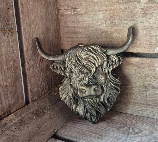 Schotse Hooglander plat