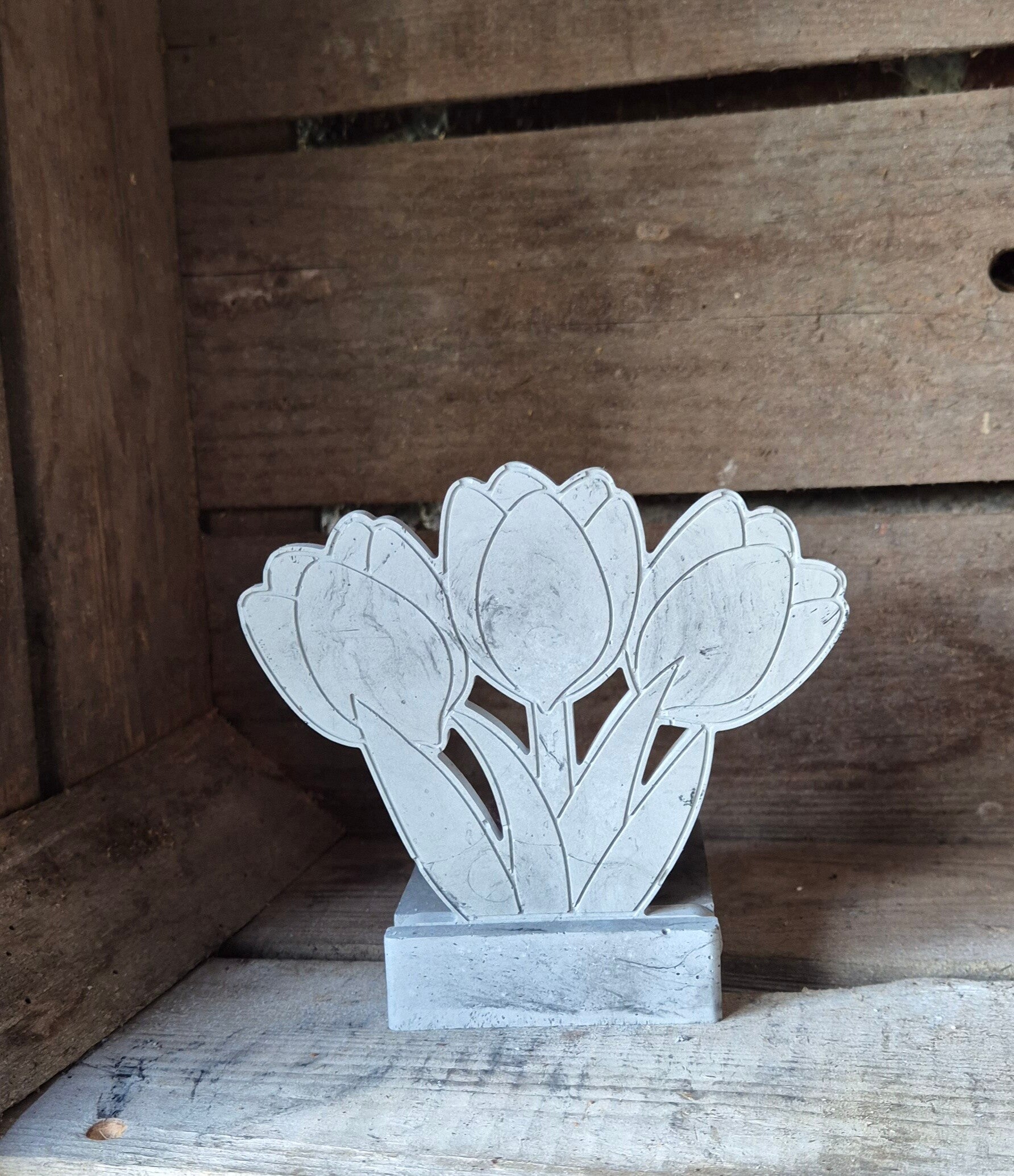 Tulpen