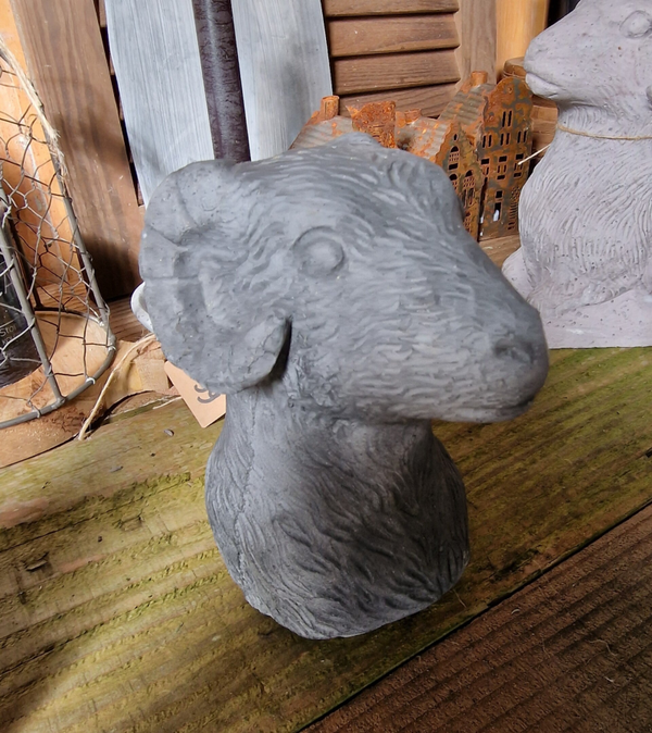 Kop ram
