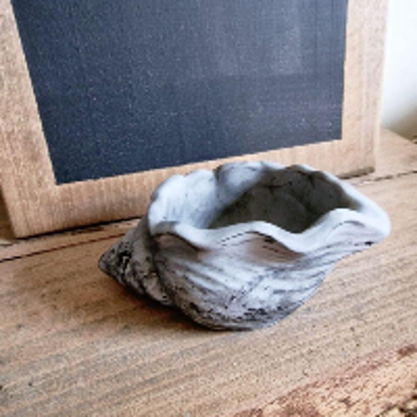 Schelp beton