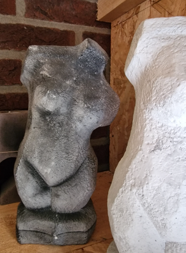 Torso beeld