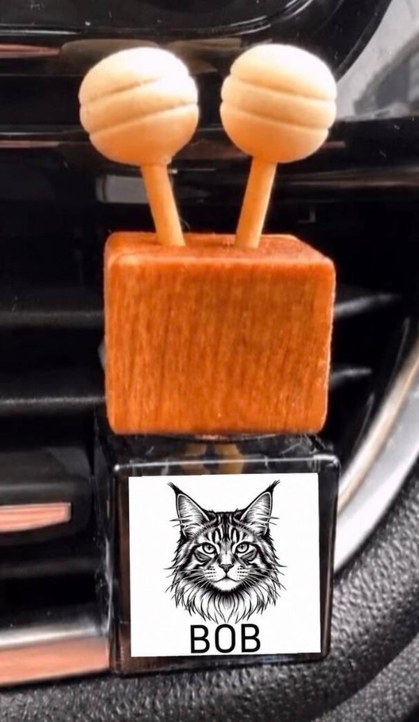 Autogeur – kattenkop