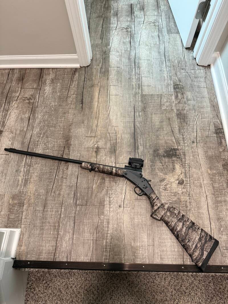 Stevens 301 .410 turkey shotgun with Holosun ARO Gen2 optic