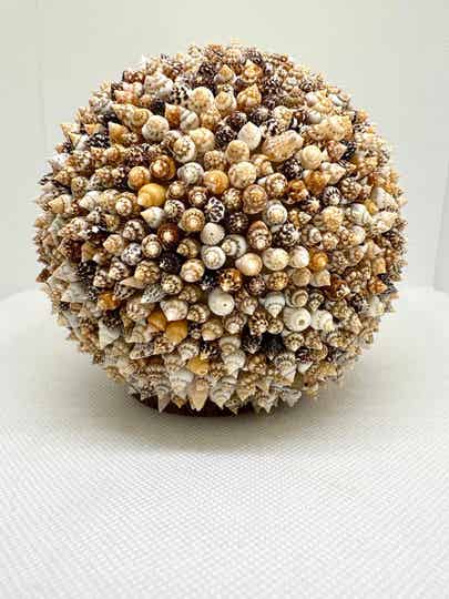 Boule de coquillages colorés sur galet L