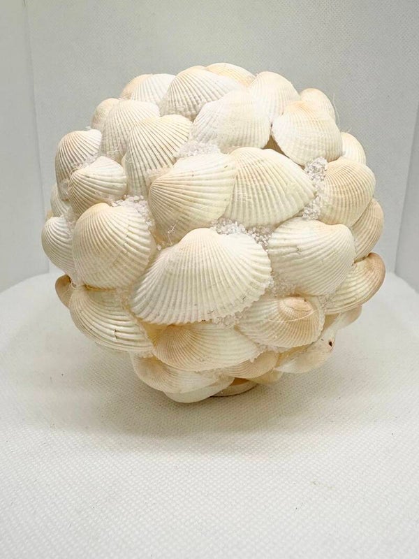 Boule de coquillages plats blancs L