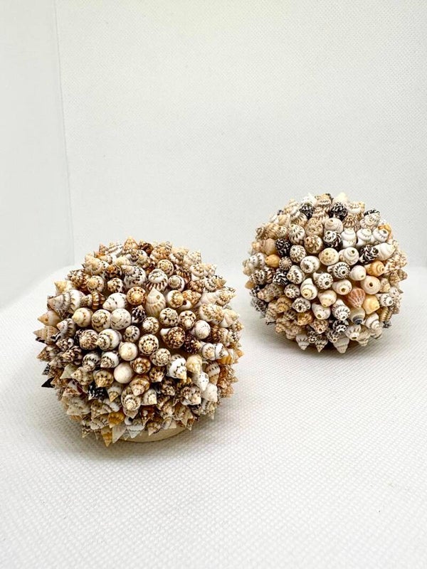 Boule de coquillage colorés sur galet M