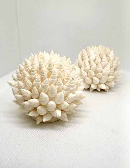 Boule de coquillages blancs sur galet M