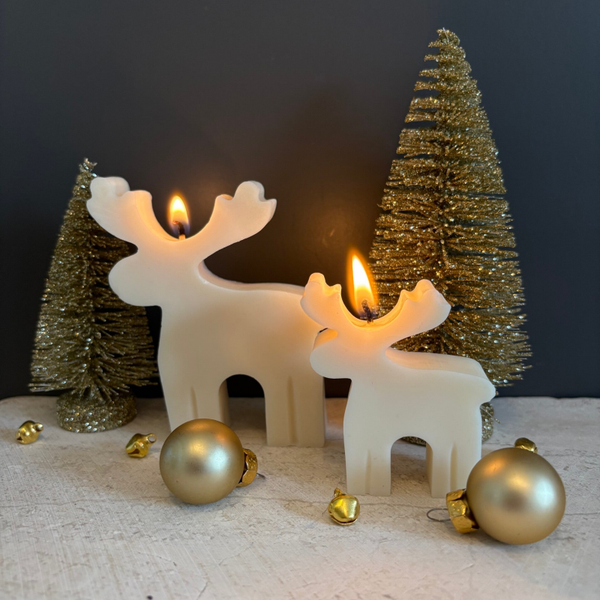 Reindeer kaarsenset
