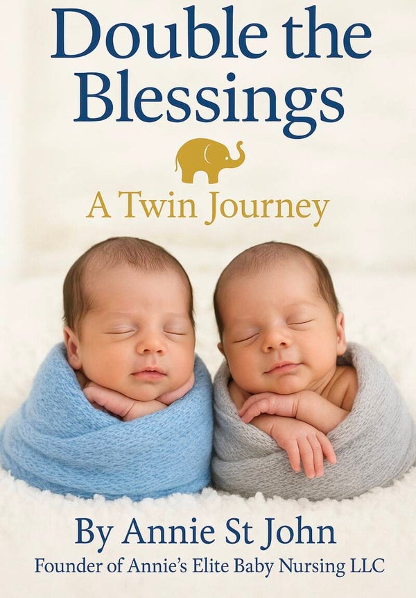Double The Blessings (A Twin Journey)