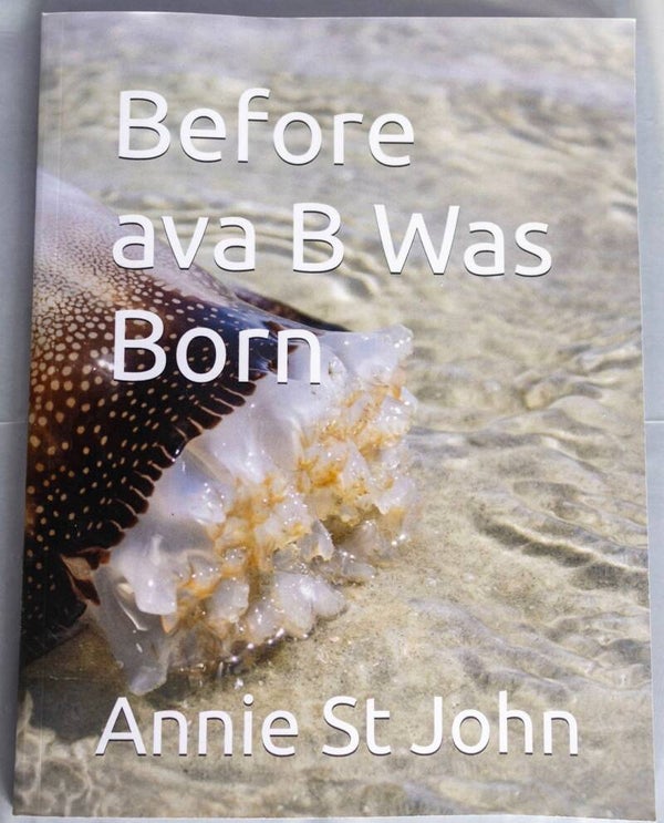 Before Ava B Was Born