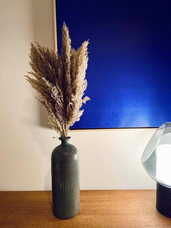 Pampas fluffy (per 3)