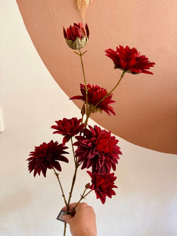 Dahlia rood