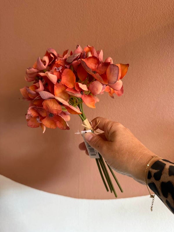 Hortensia oranje