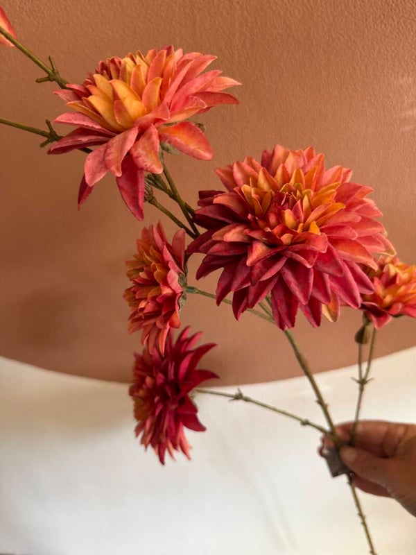 Dahlia roze