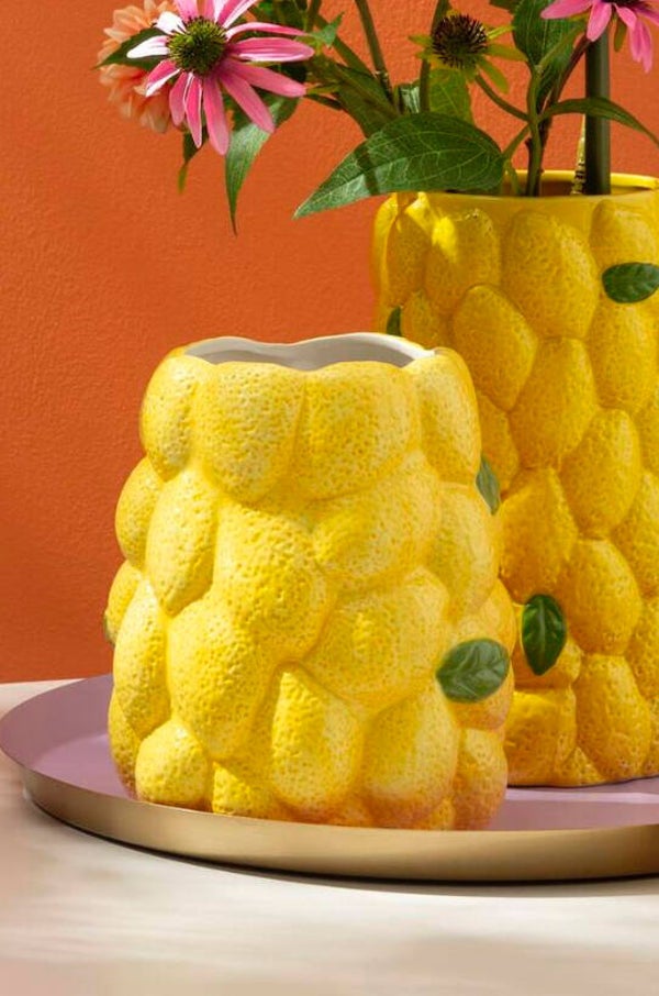 Vaas lemon groot