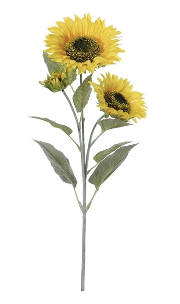 Zonnebloem geel