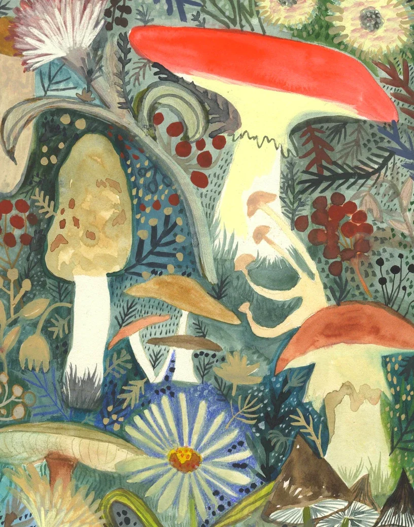 Steun de tuin! Kaartenset ‘Grow’