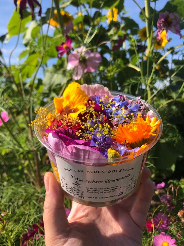 Verse eetbare bloemenmix