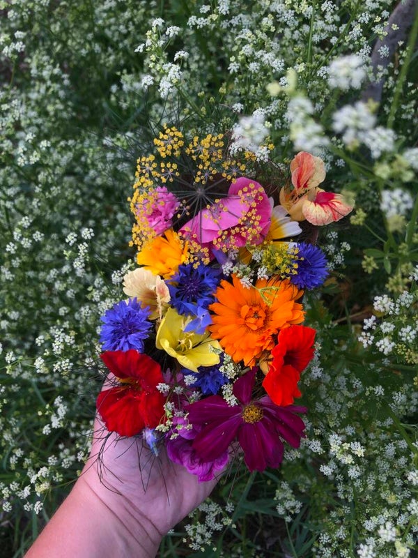 Verse eetbare bloemenmix
