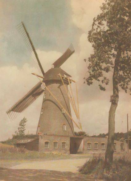 Foto van de in 1883 gebouwde Sint Antoniusmolen. Foto: Fam. van Riel.