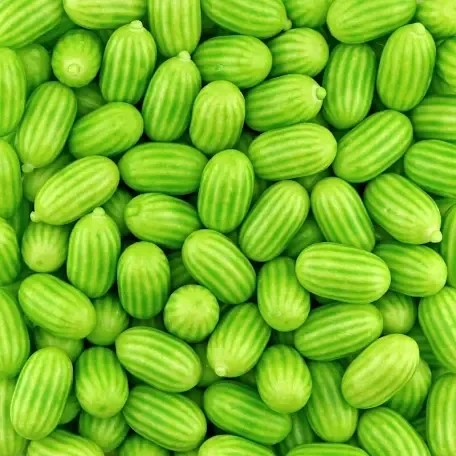 FINI -Chewing-Gum Melon
