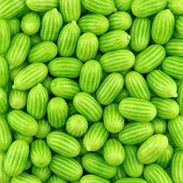 FINI -Chewing-Gum Melon