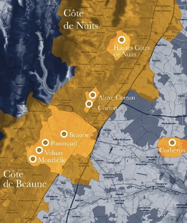 Bourgogne smagning 29. oktober 2026