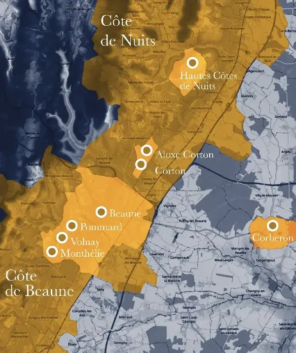 Bourgogne smagning 29. oktober 2026