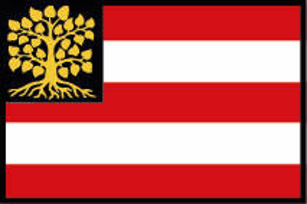 Officiële vlag van Den Bosch | strijkembleem (7,5 x 5,0 cm)