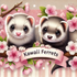 Kawaii Ferrets