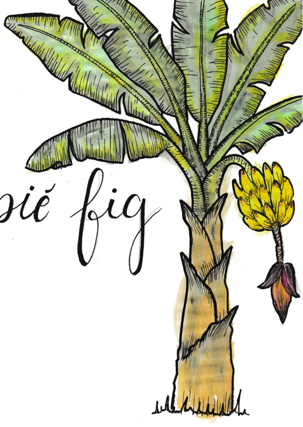 Pié FIG
