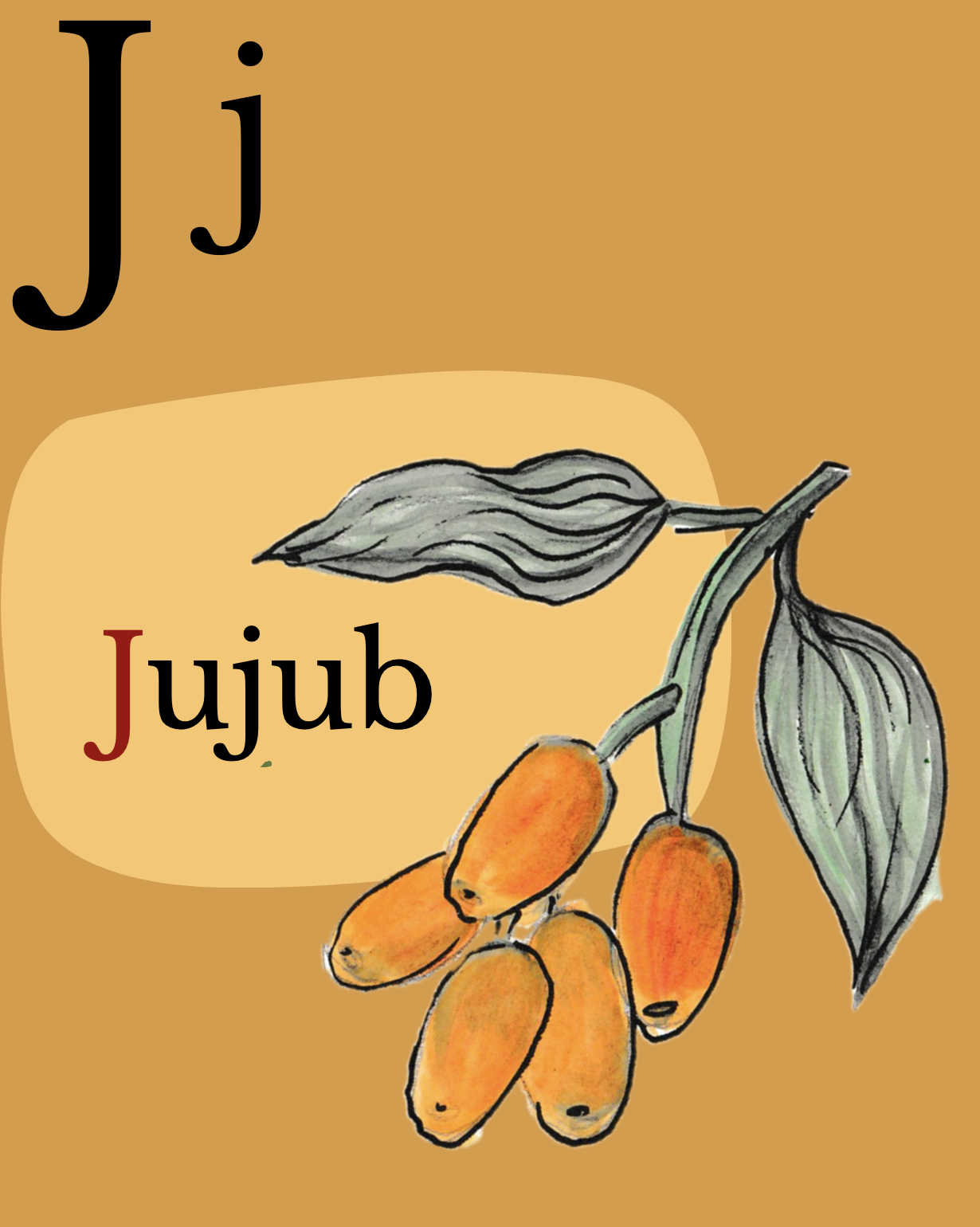 J - jujub