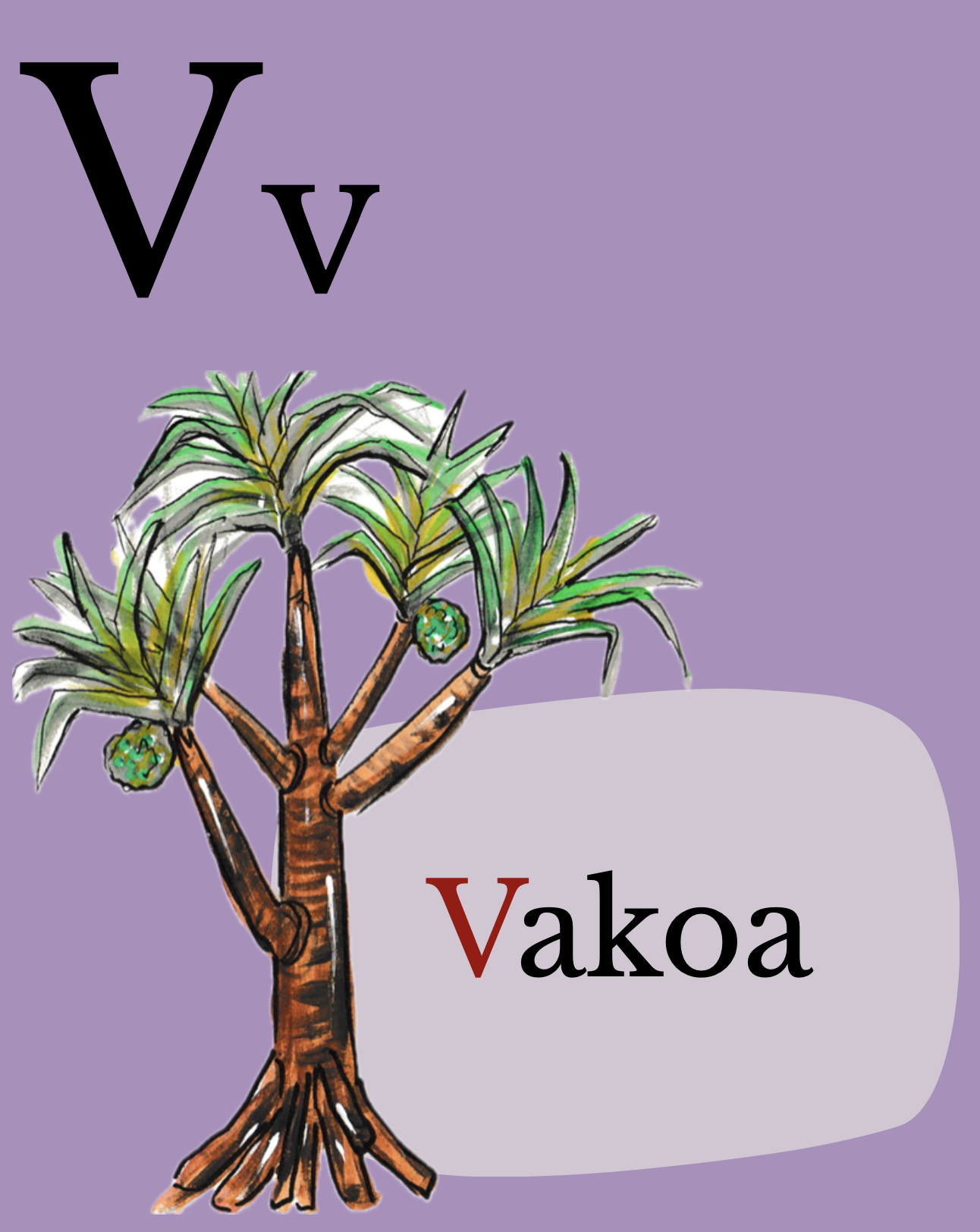 V - Vakoa