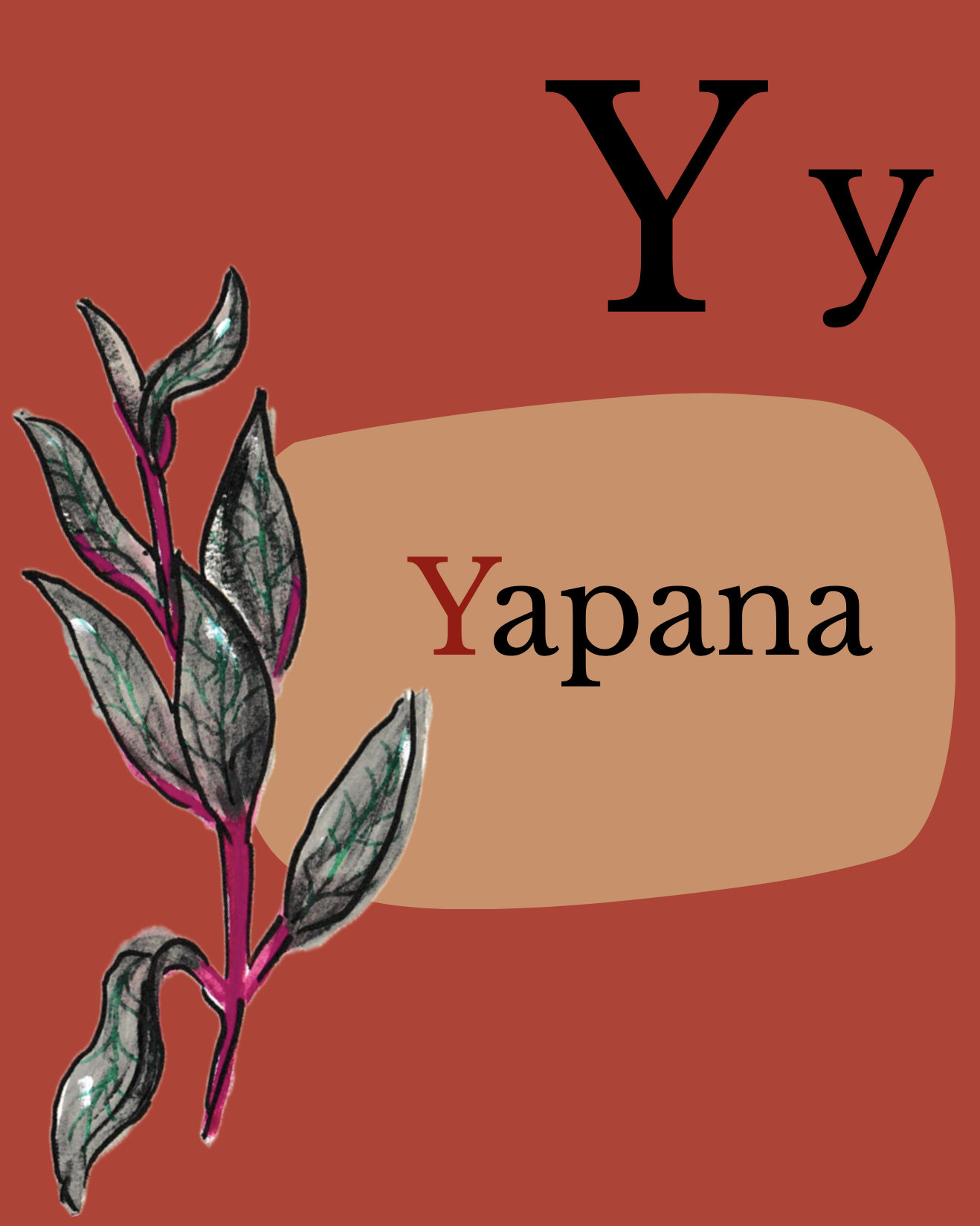 Y - Yapana