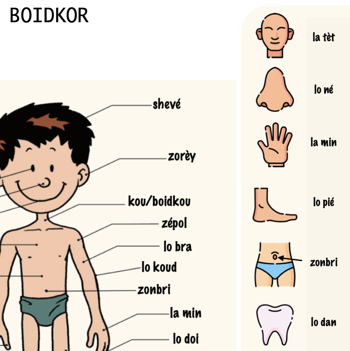 Boidkor
