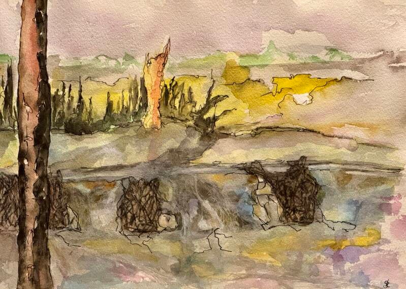 een waterval en strookversnelling, een boomstam op de voorgrond bos in de verte