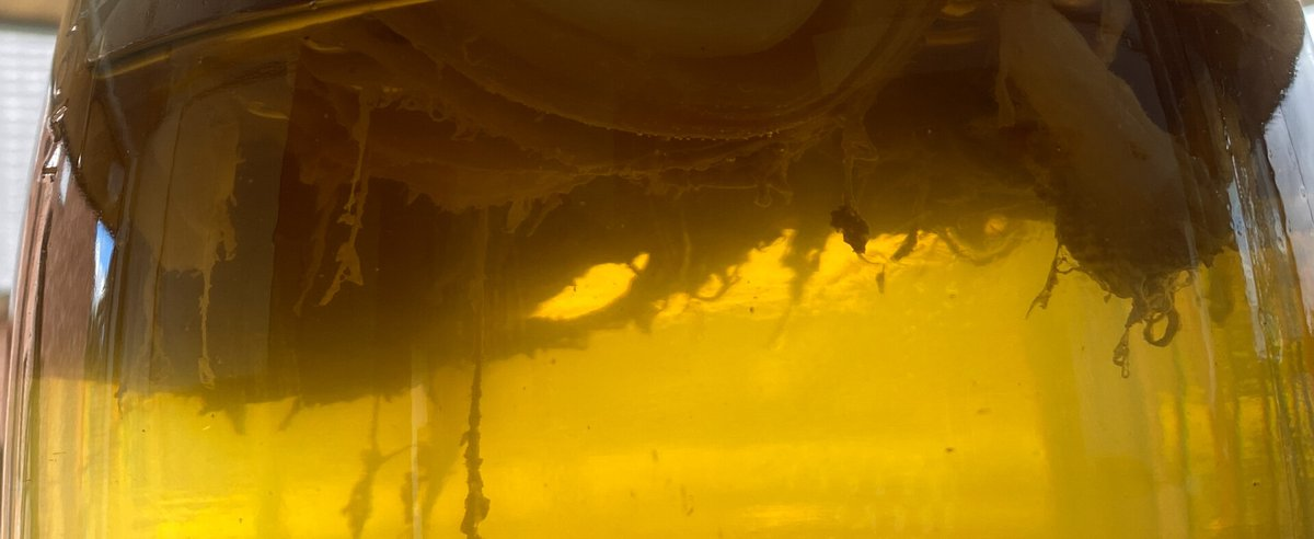 Moet ik azijn toevoegen bij het maken van kombucha?