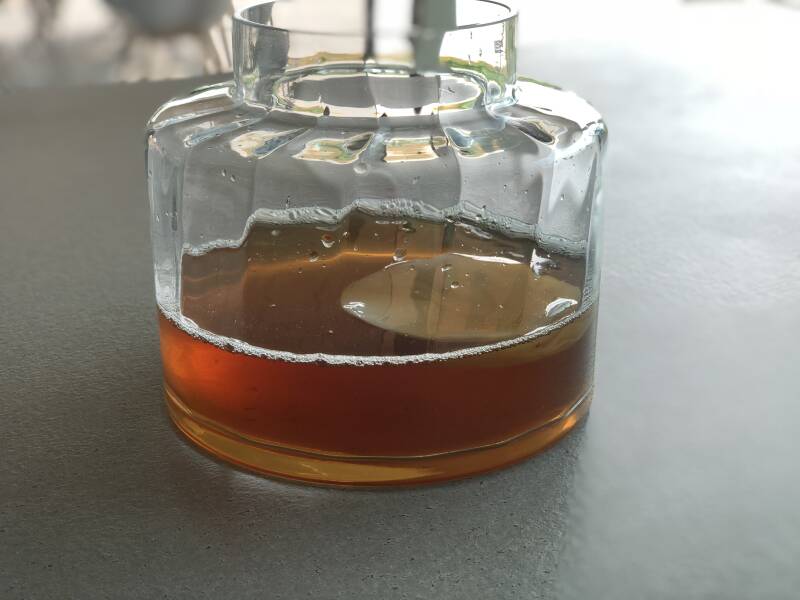 Waarom drijft mijn SCOBY niet aan het oppervlak?