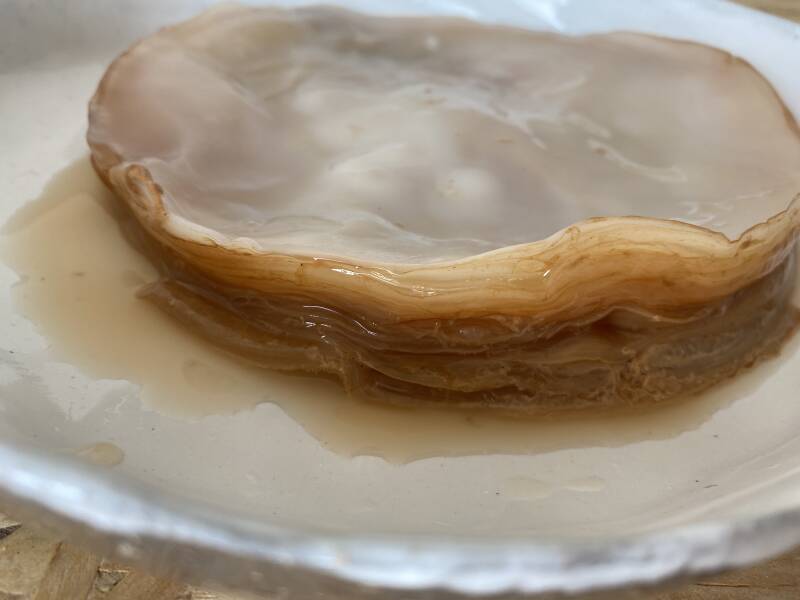 SCOBY's