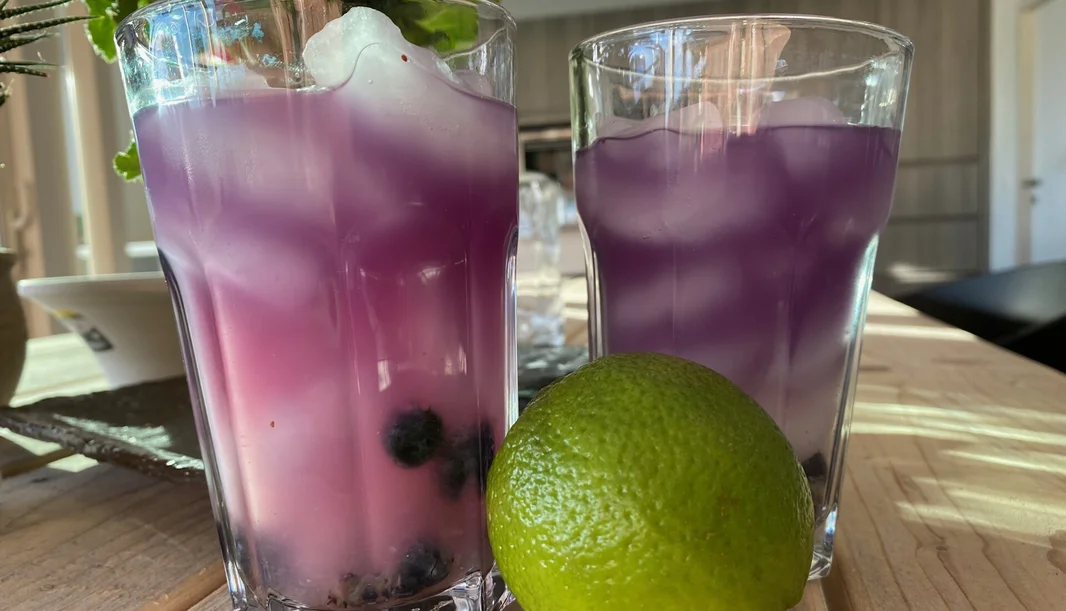 Vlindererwt kombucha