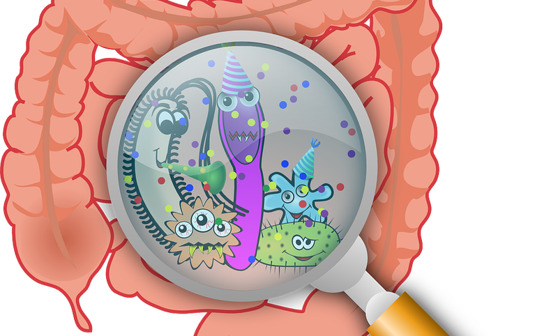 Kan fermentatie ons beschermen tegen COVID-19?
